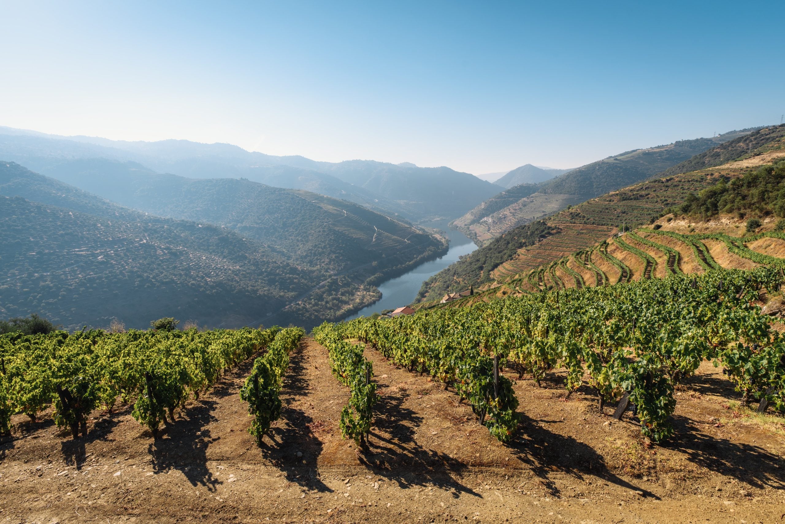 Vallée du Douro