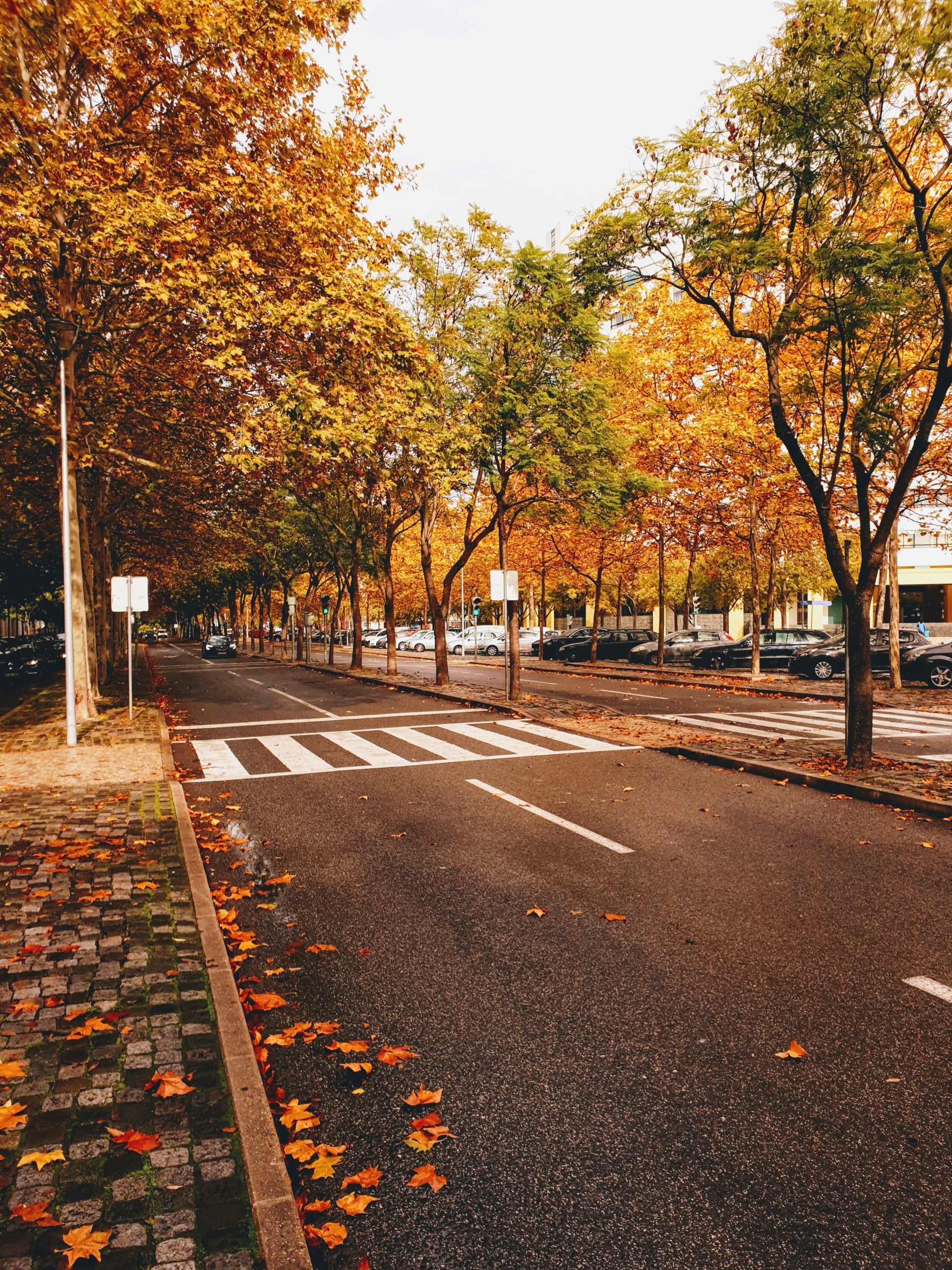 Guía de otoño a Lisboa: actividades de otoño en Lisboa 2022
