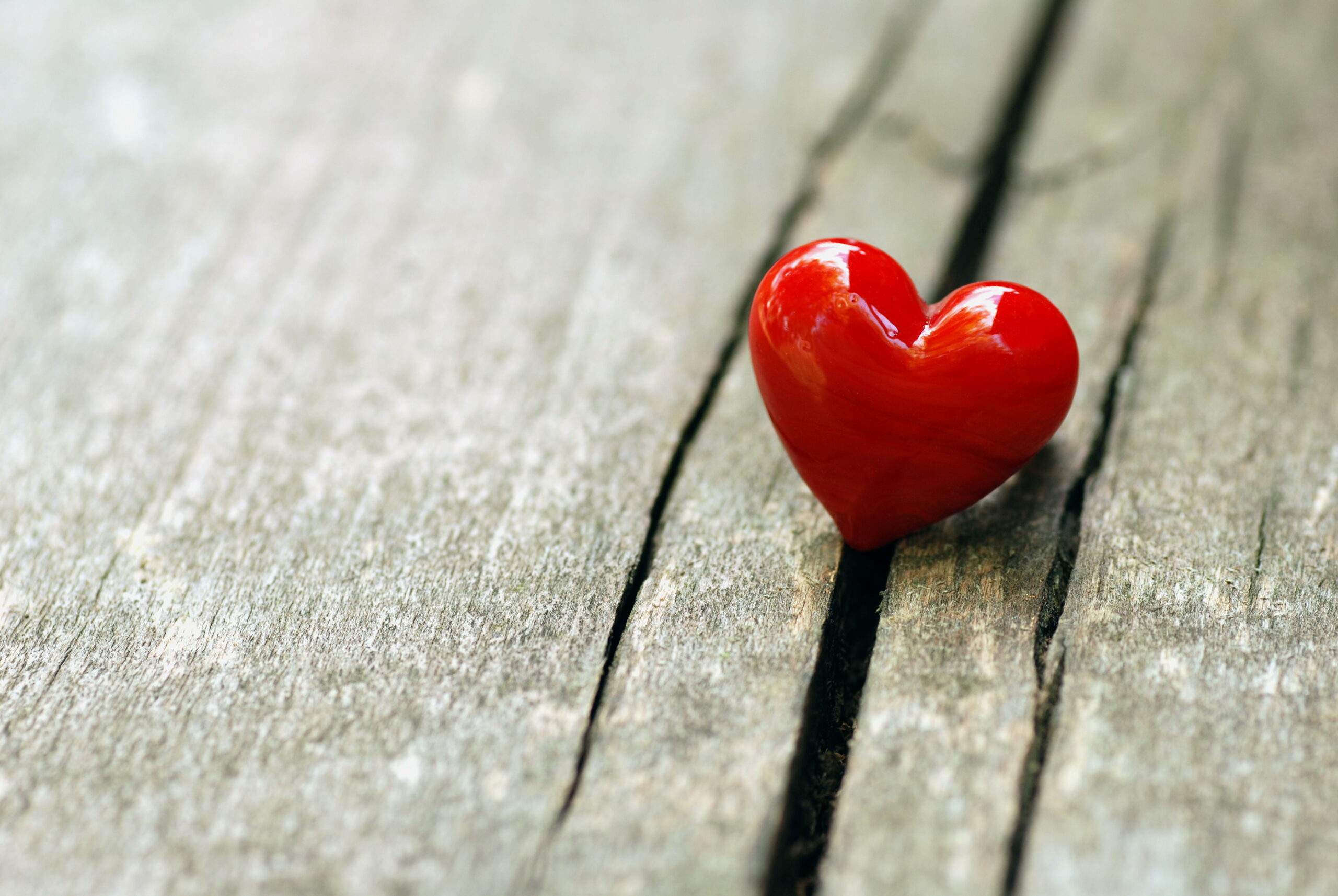 Où célébrer la Saint-Valentin à Porto en 2026