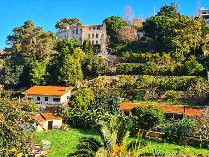 Découvrez le Ribeira Das Vinhas Trail à Cascais 