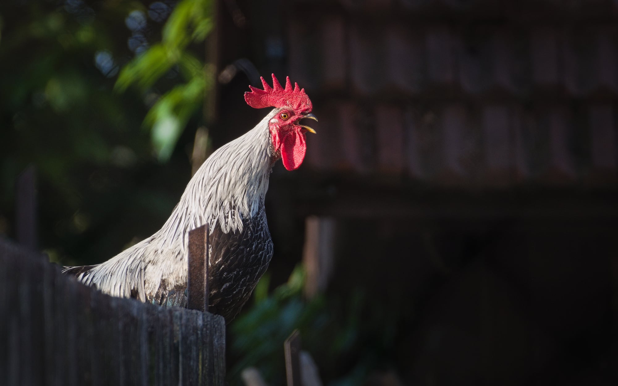 Top 10 les plus ennuyeux qui vous empêcheront de bien dormir au Portugal