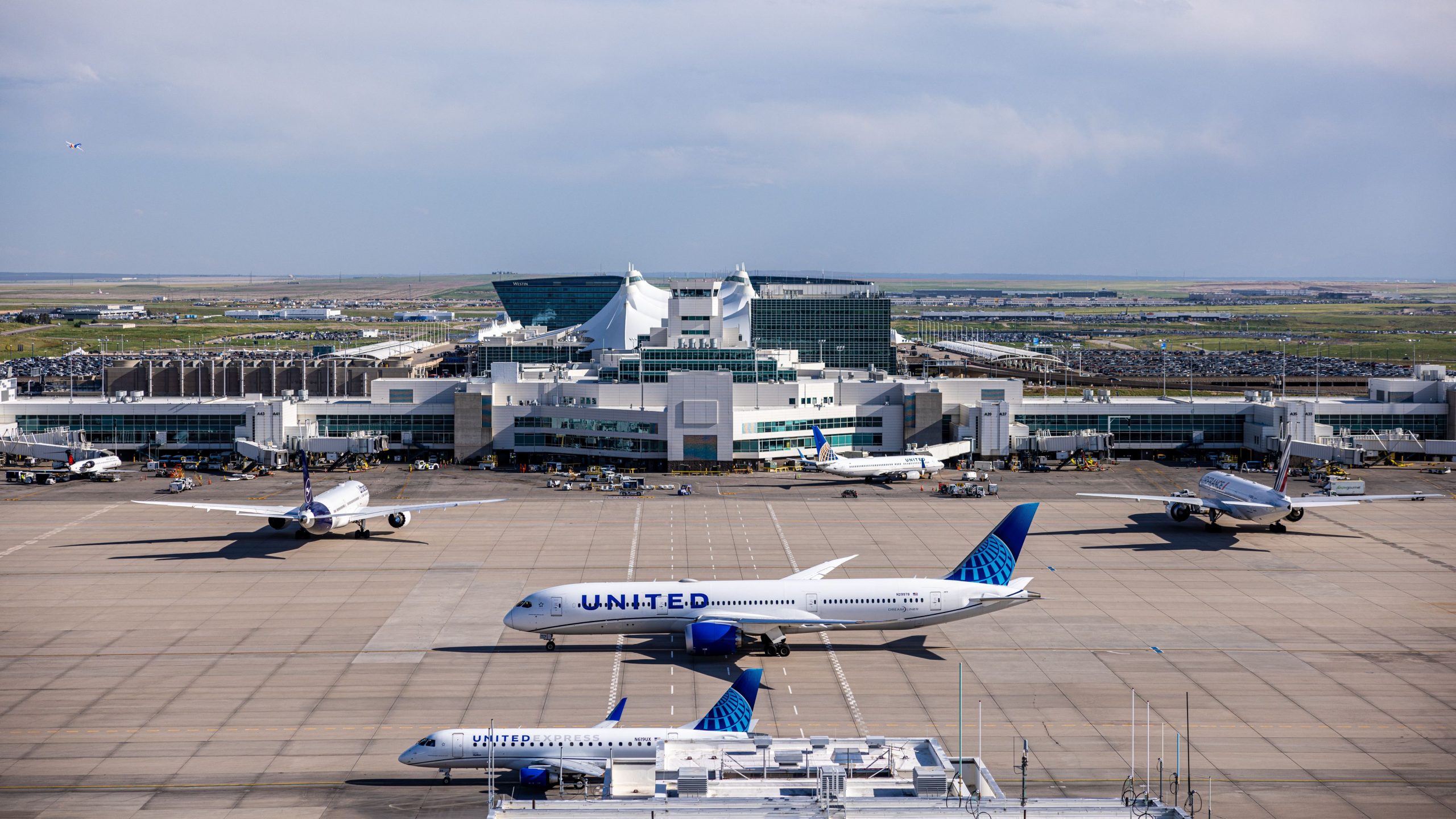 5 maneiras de ganhar milhas da United Airlines sem voar