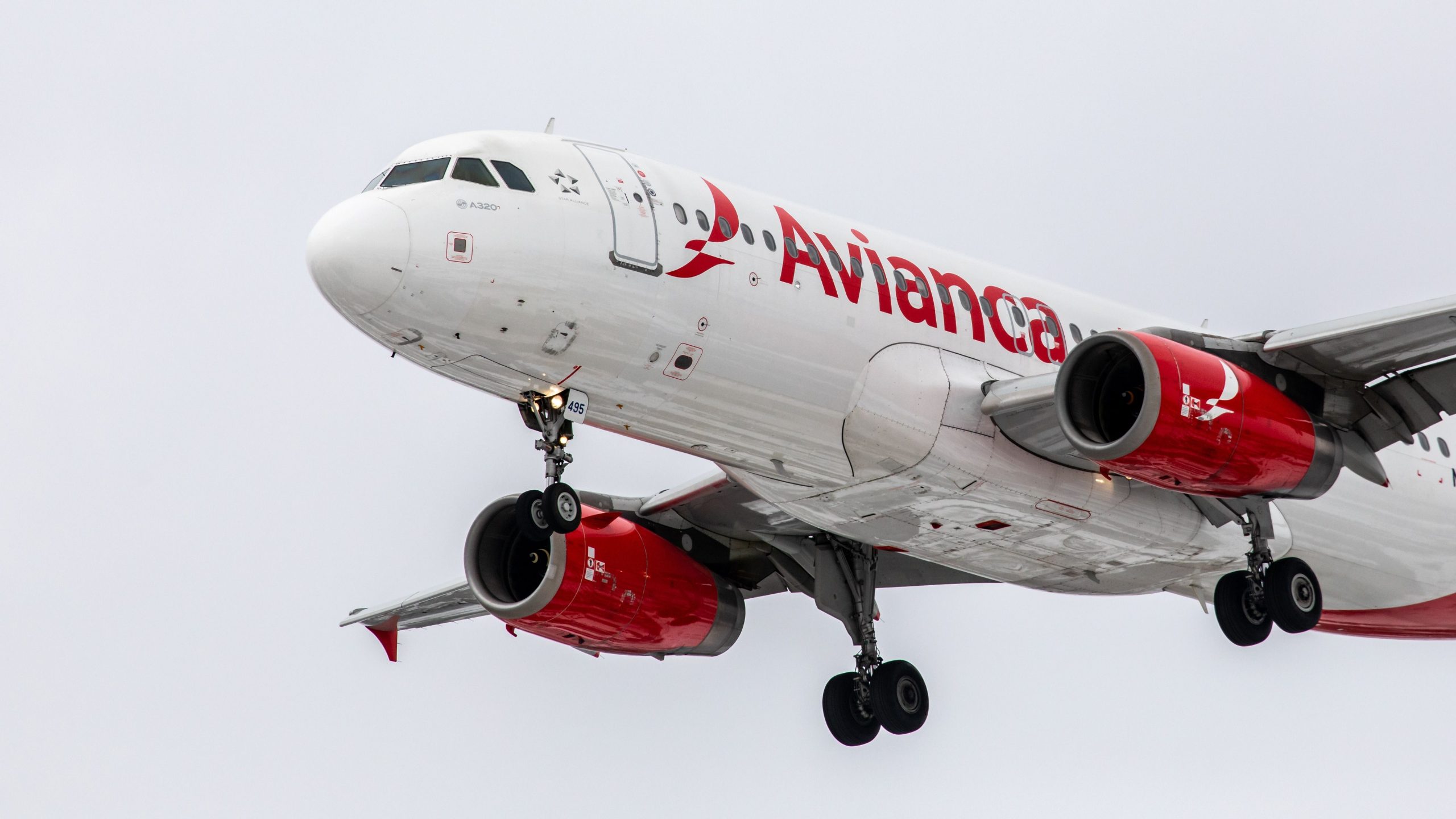 4 opzioni: Avianca rinnova le tariffe economiche e business class