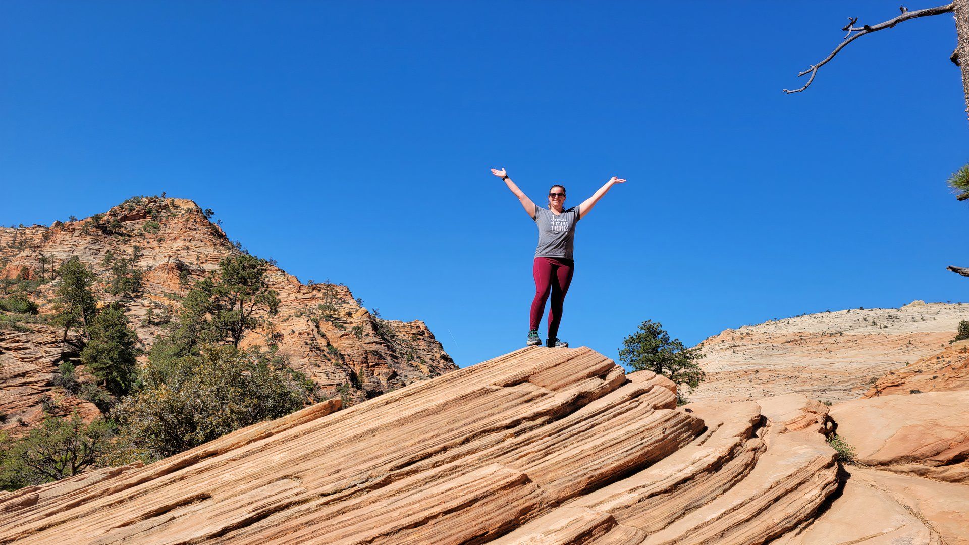 7 choses que j'aurais aimé savoir avant de visiter Zion pour la première fois