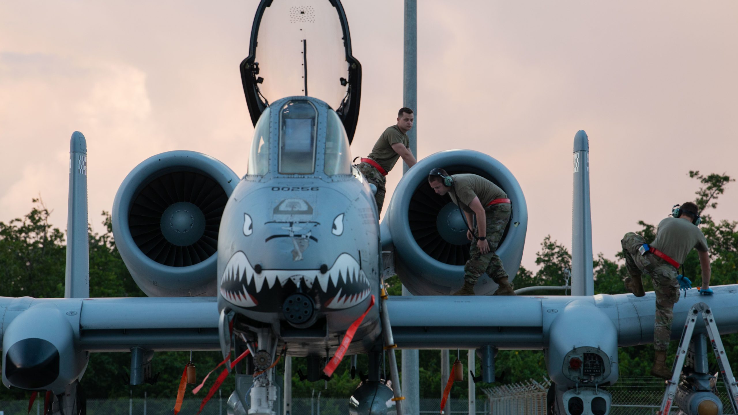 Examinado: Los sistemas de armas del A-10 Warthog