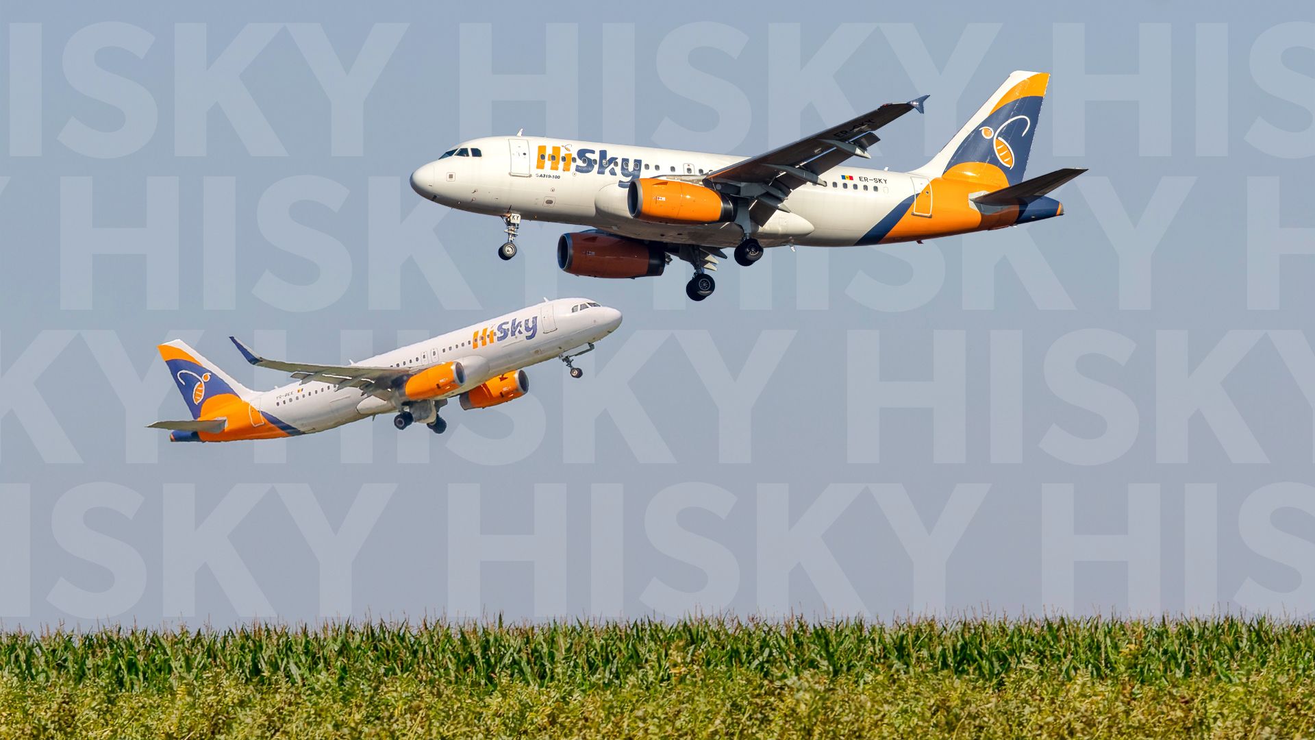 5 coisas sobre hisky que podem surpreendê