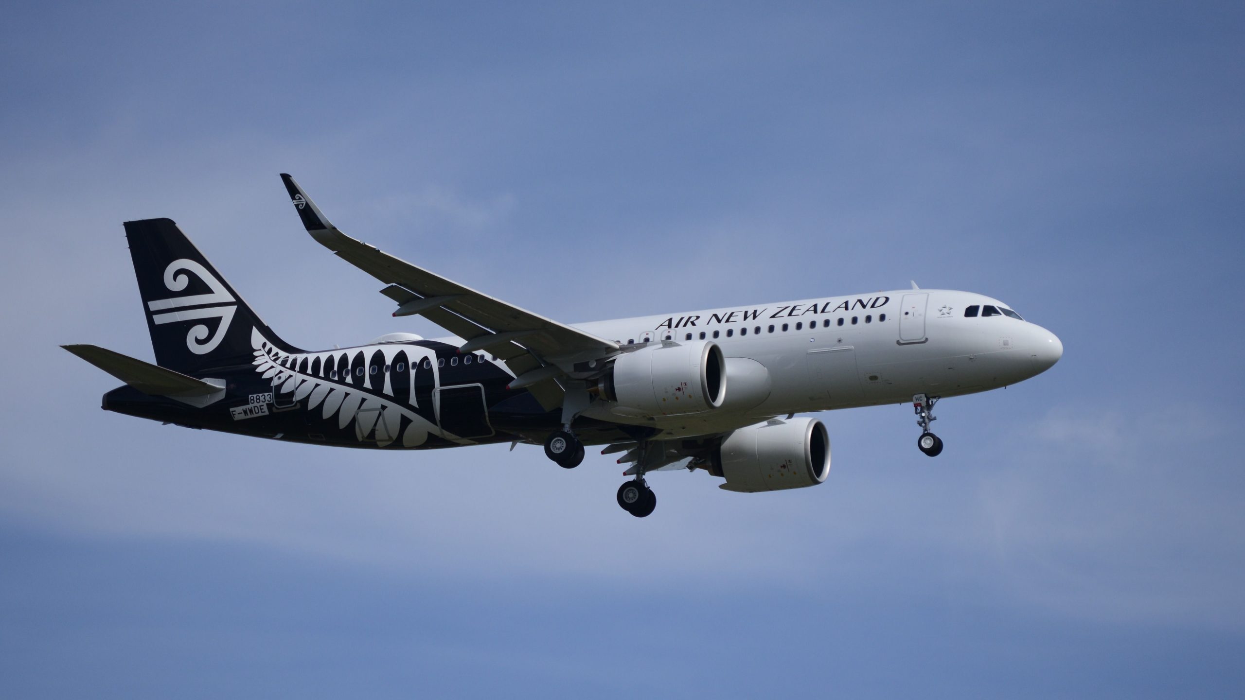 Air New Zealand Luct Nosedives and Boeing 787 Atrasos atingem o lançamento Skynest