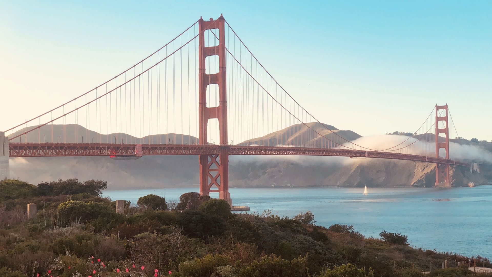 Estos 6 parques nacionales cerca de San Francisco son perfectos para una excursión de un día.