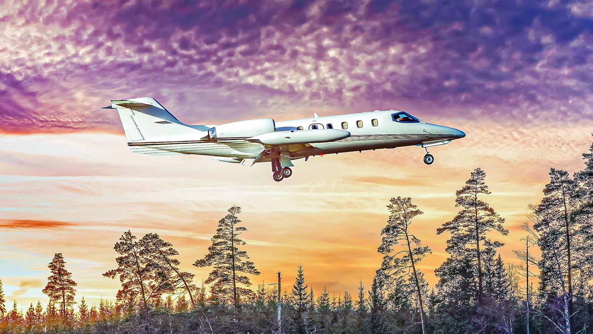 L'histoire de l'accident d'avion du pilote de F1 David Coulthard en 2000