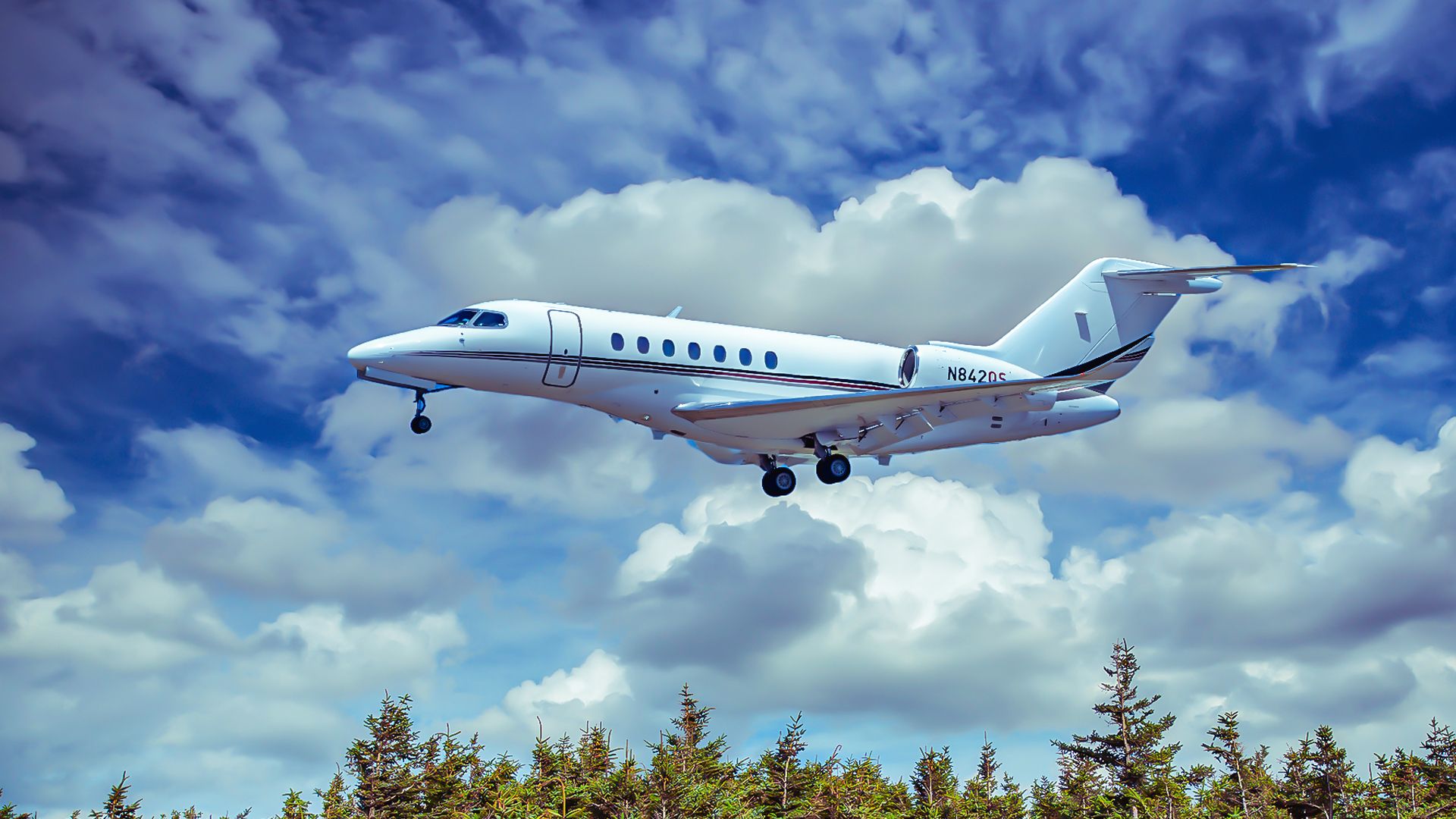 Jet Cessna más grande: 5 características que hacen que la longitud de la cita sea única