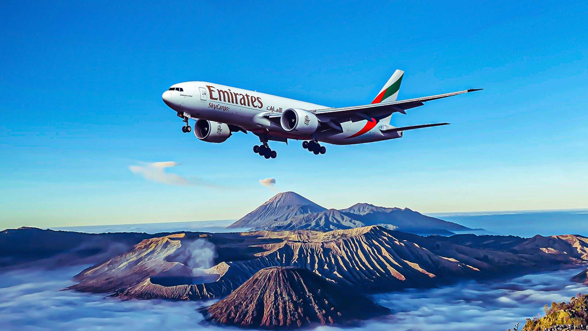 Opérations de marchandises mondiales: un examen plus approfondi de Emirates Skycargo