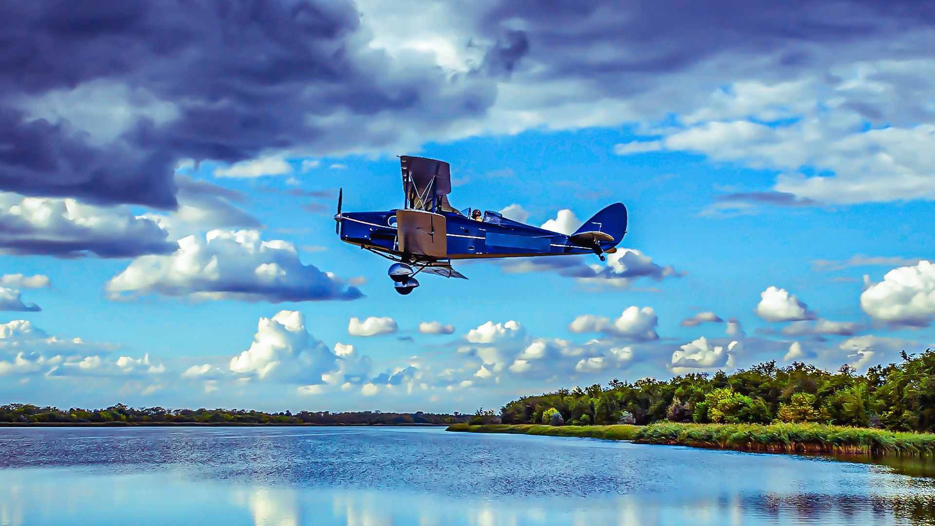 Un regard plus approfondi sur le papillon de renard de Havilland