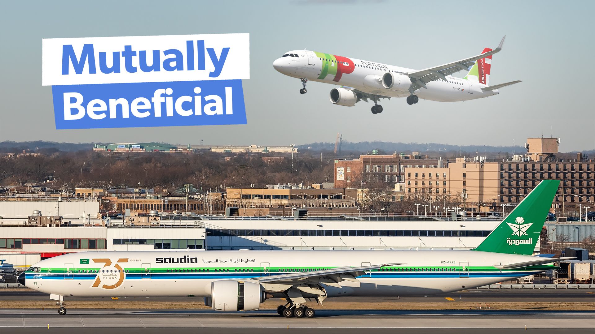 The Businessliner: A Guide to the Cessna 195