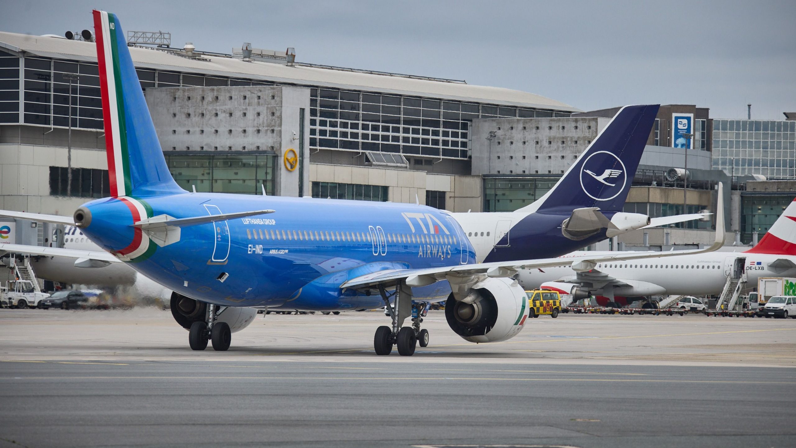 Todas las aerolíneas de Lufthansa Group fueron pérdidas en el primer trimestre de 2025