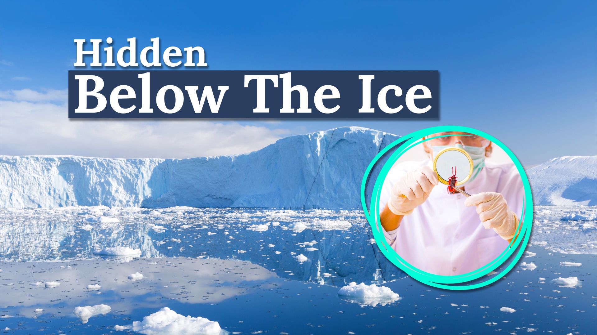 Iceberg del tamaño de Chicago se separó de la Antártida y reveló una sorprendente sorpresa