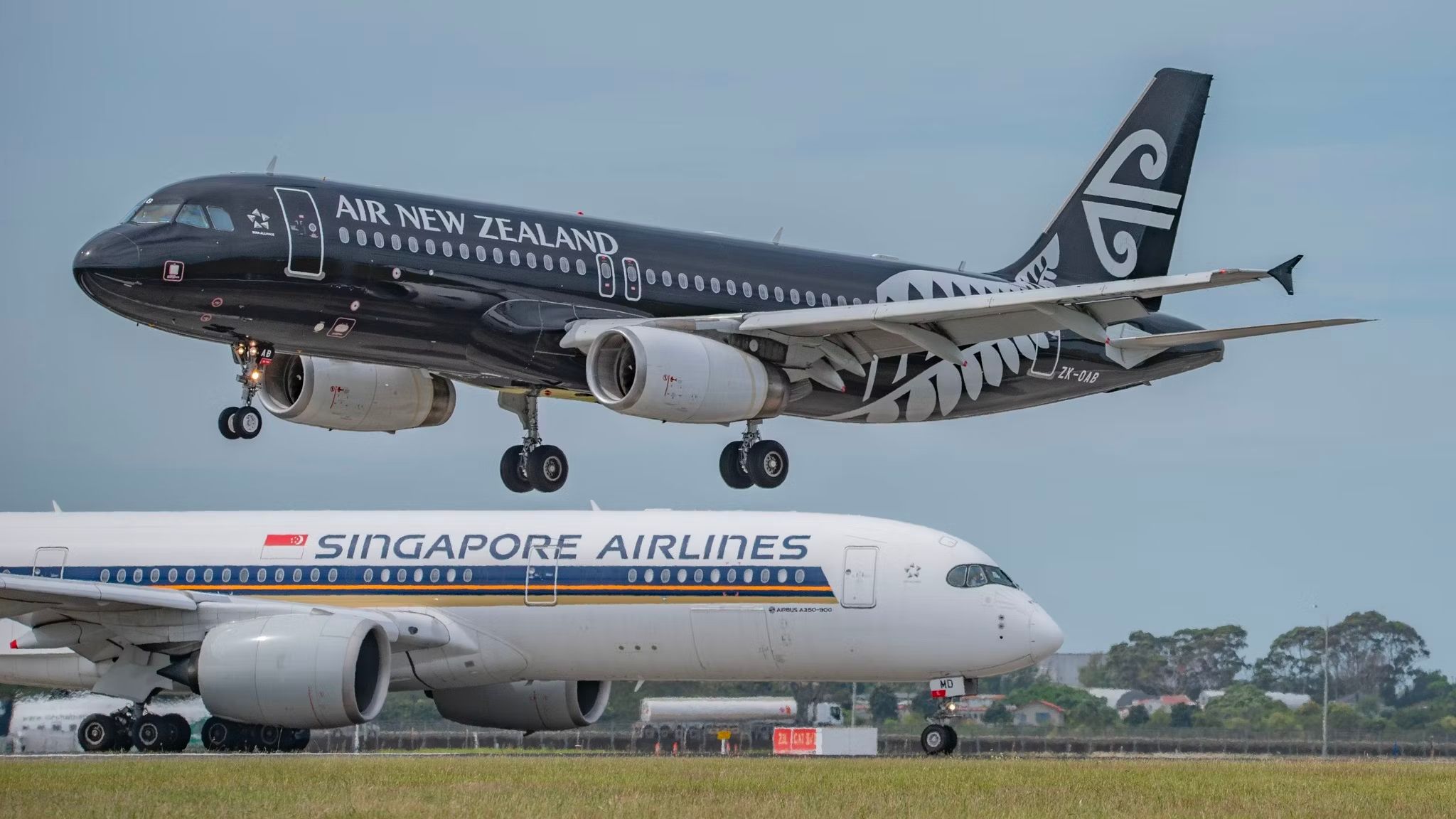 Empresa conjunta extendida en las tarjetas para Singapur Airlines y Air New Zealand