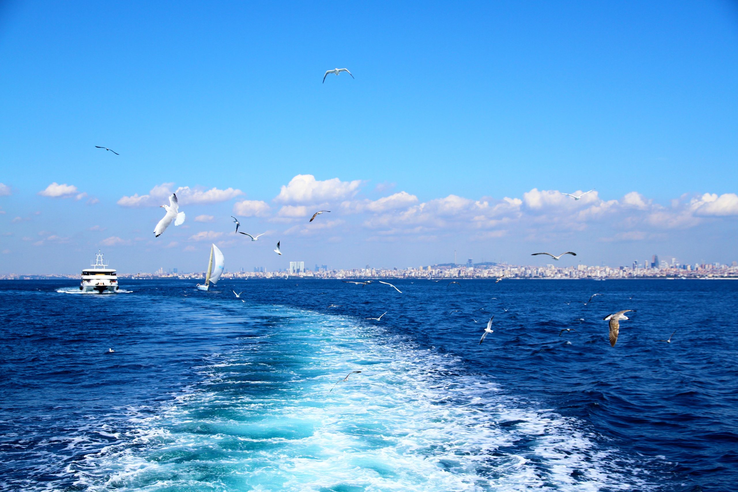 7 posti che si dice siano la sede di antichi mostri marini