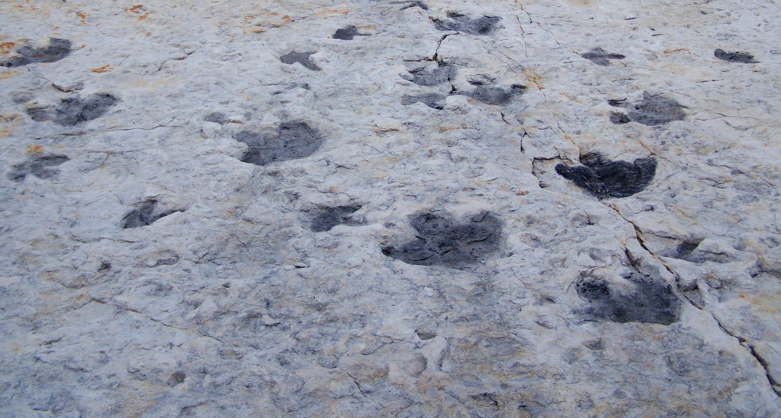 Strange “Blindes” acabam sendo uma enorme “rodovia de dinossauros” com centenas de pegadas que datam de 166 milhões de anos