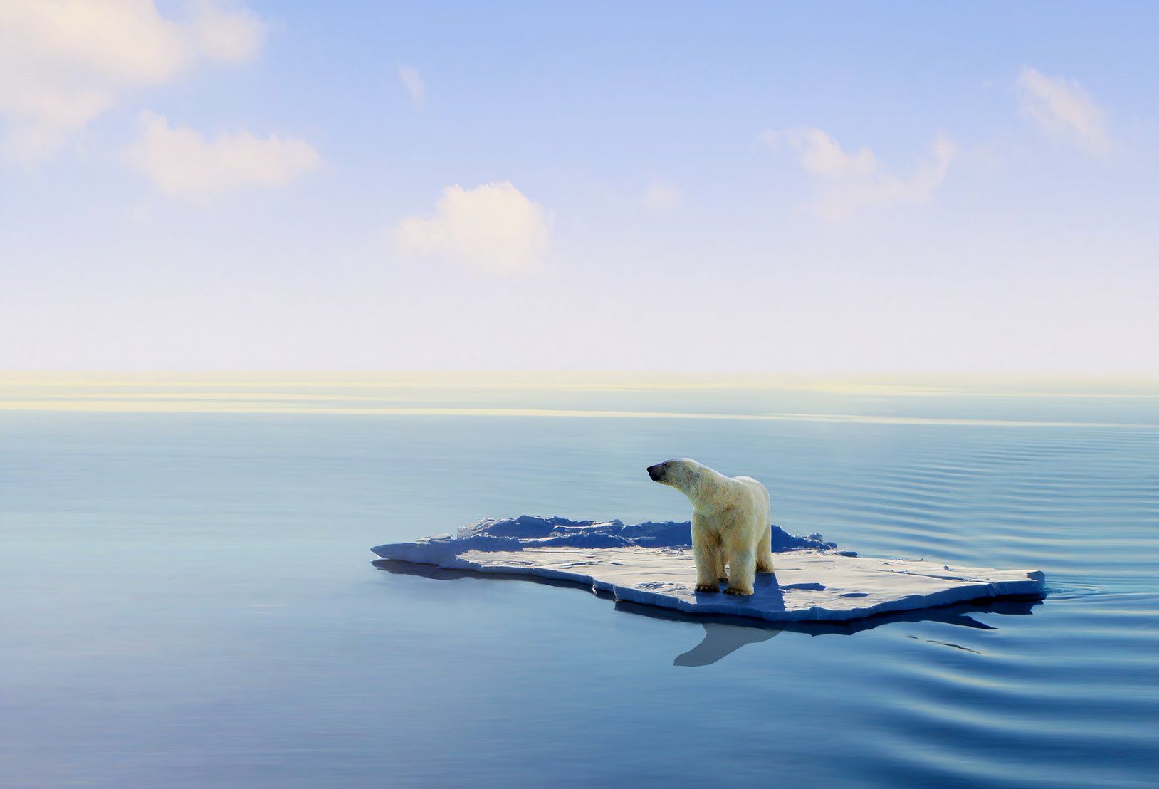 Cet état américain fond rapidement, et vous pouvez littéralement le voir se produire