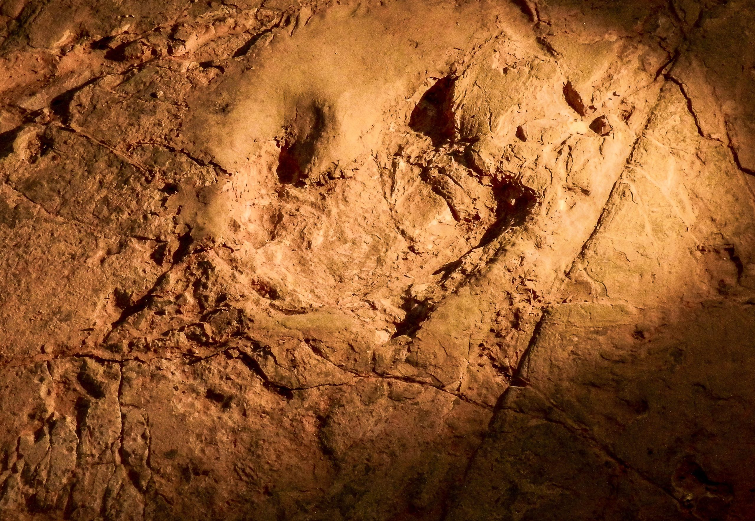 As “menores pegadas de dinossauros do mundo” são uma descoberta extremamente rara e incomum