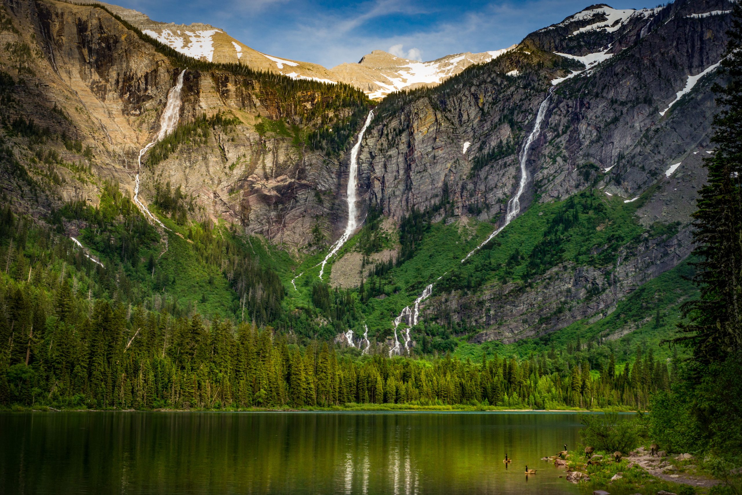 Couple a construit une maison dans le parc national des glaciers sans autorisation 