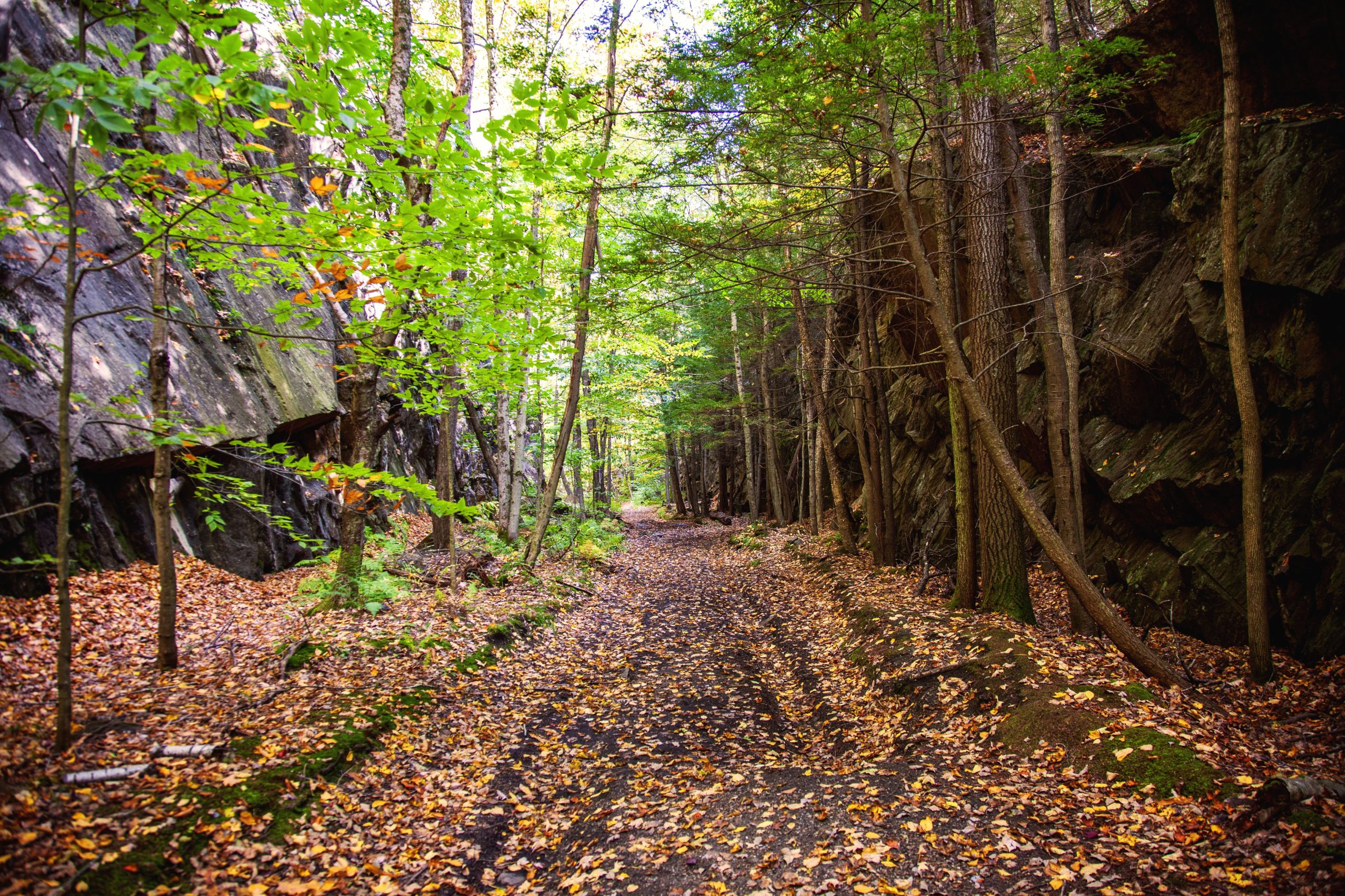 Esta peligrosa asombro de Massachusetts "Made By the Devil" está inmersa en la espeluznante tradición
