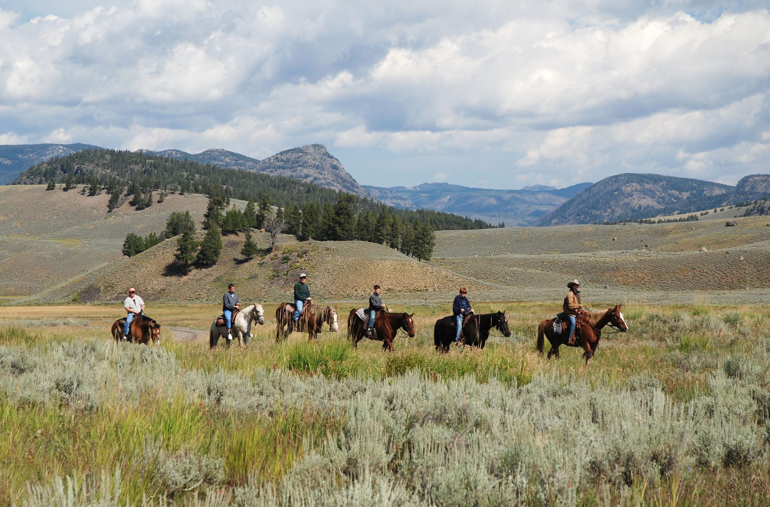 A entrada secreta de Yellowstone leva aos pontos turísticos mais subestimados do Parque Nacional