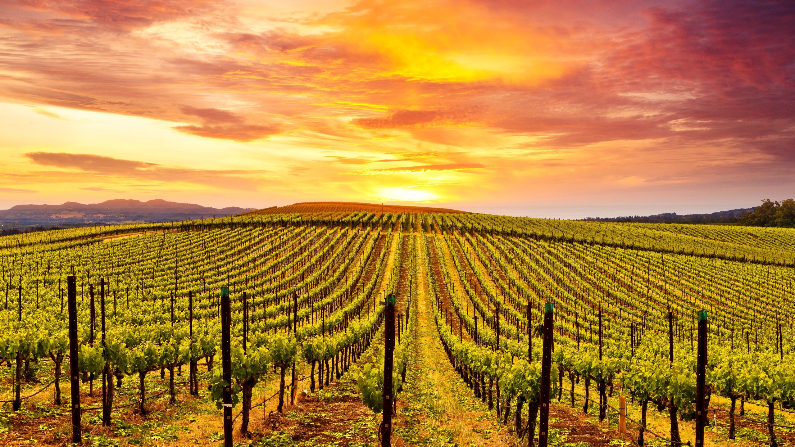 La «Méditerranée de Californie» est l'une des meilleures villes à prendre sa retraite en Amérique