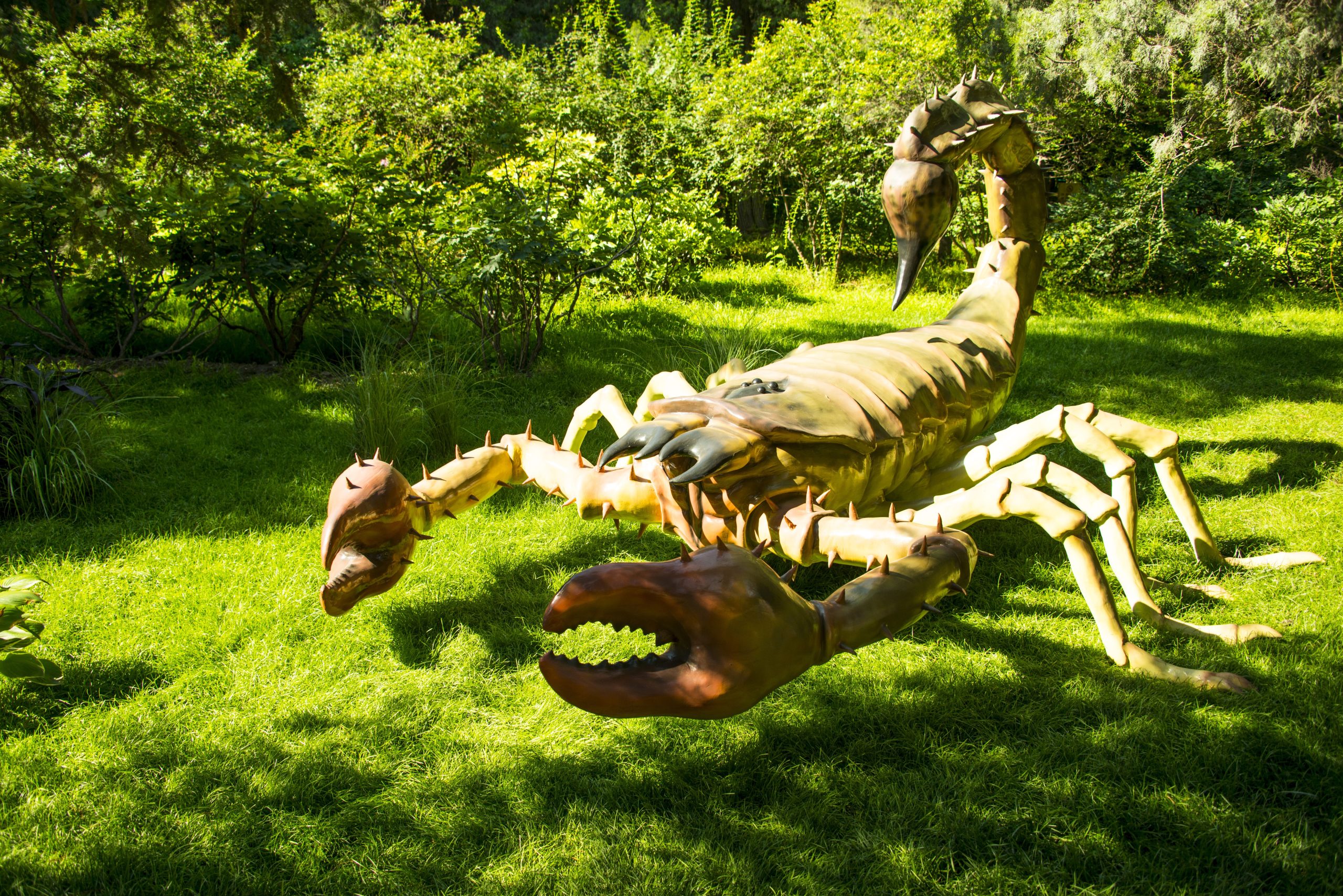 El escorpión venenoso gigante recién descubierto resulta ser alucinantemente antiguo