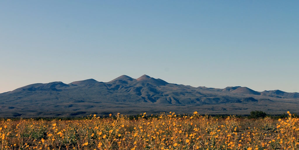 México Os homens da lua do deserto sonoro do México, a reserva de biosfera El Pinacate e Gran Desierto de Altar, pode parecer de outro mundo 