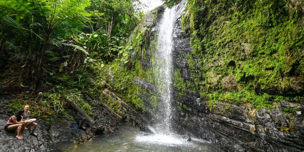 Visitando la Yunque National Forest a Puerto Rico
