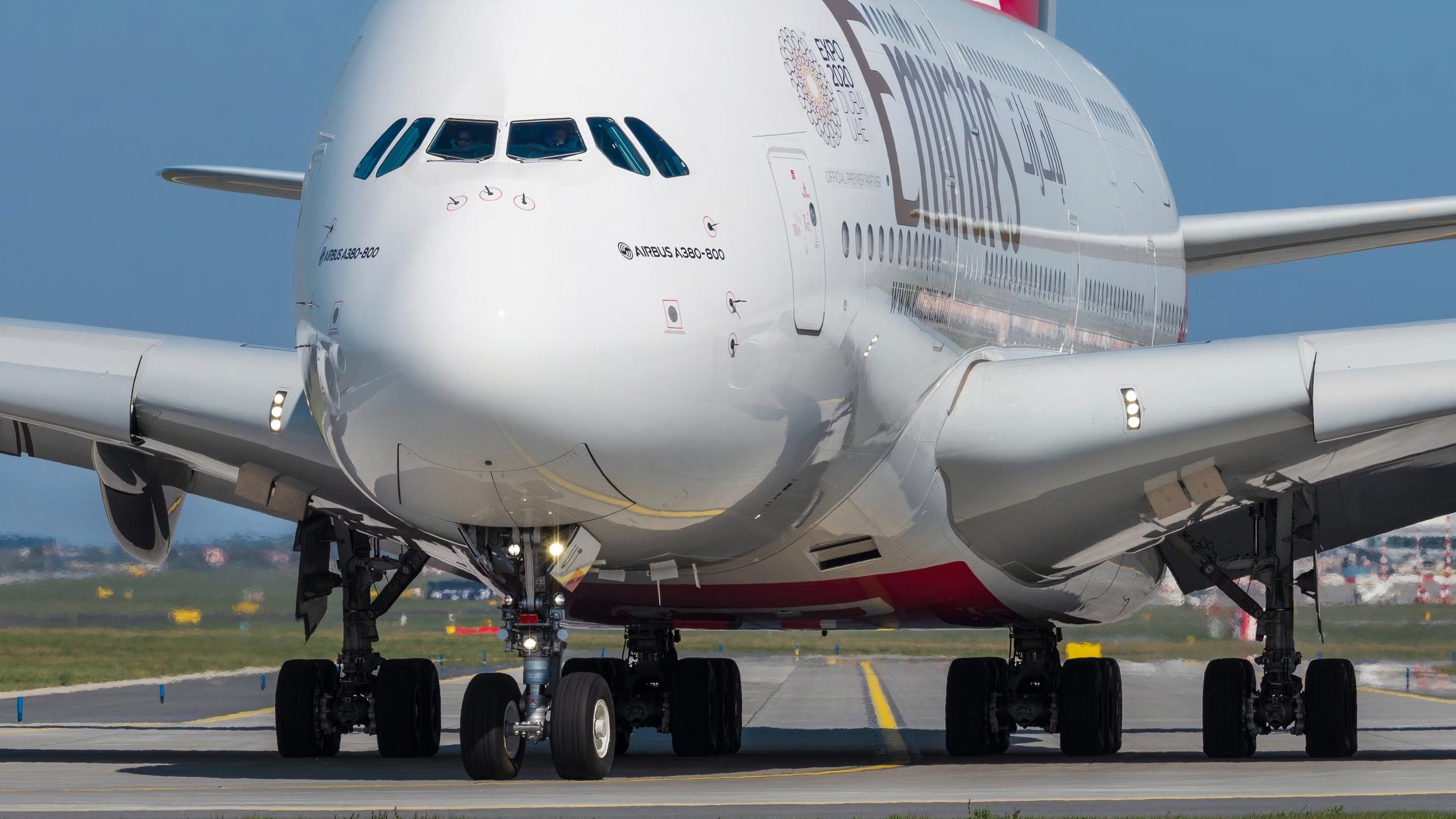 Emirates toma la lucha contra el tráfico de la piel del burro: 6 millones asesinados cada año