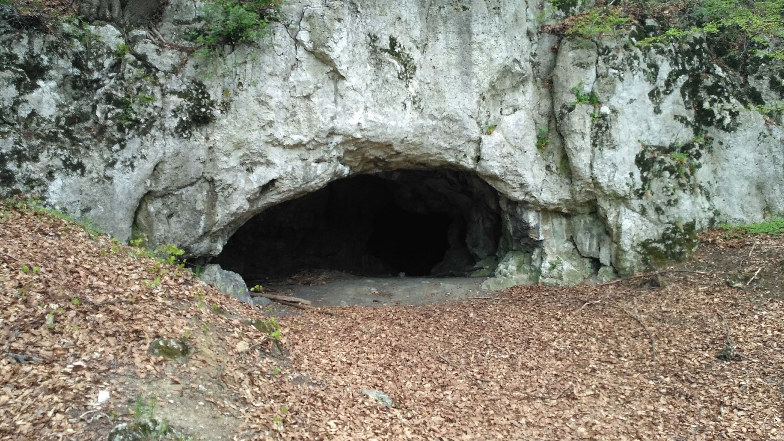 Les scientifiques découvrent que le cannibalisme était «intégré» dans les populations polonaises anciennes