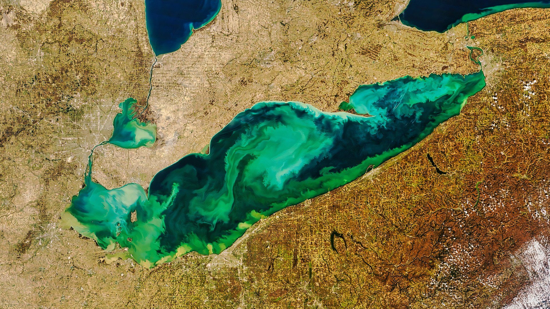 El lago Erie se está volviendo verde ... con algas