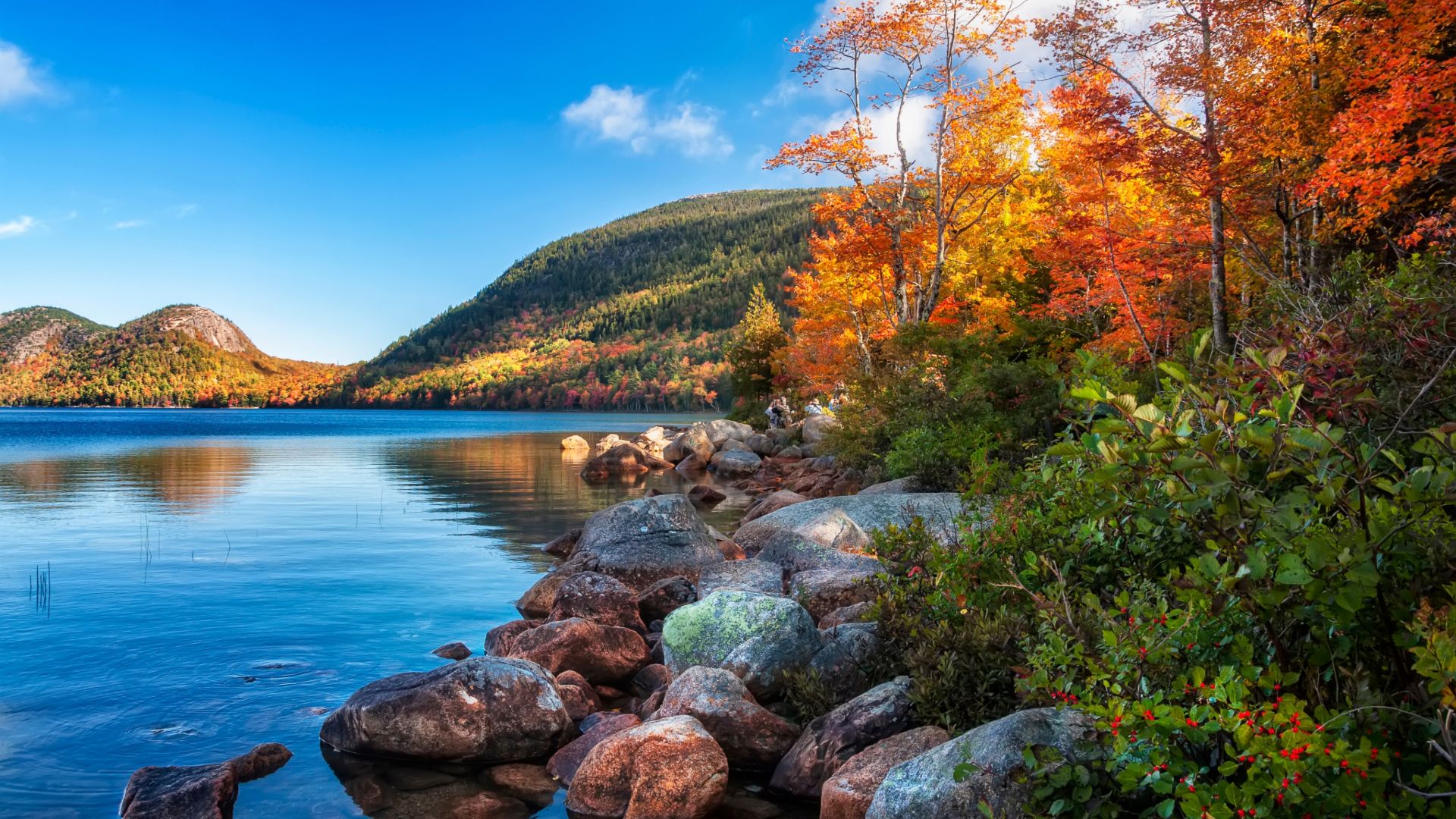 Quantos dias você realmente precisa para o Parque Nacional Acadia