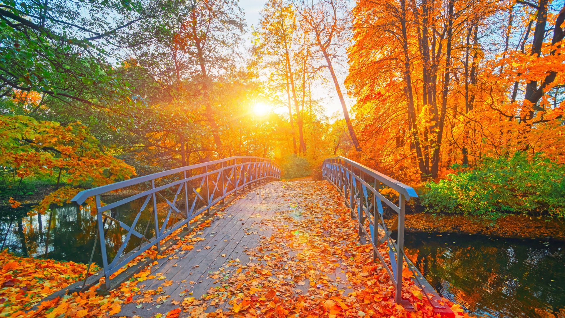 Cette région aura le meilleur feuillage d'automne pour 2024