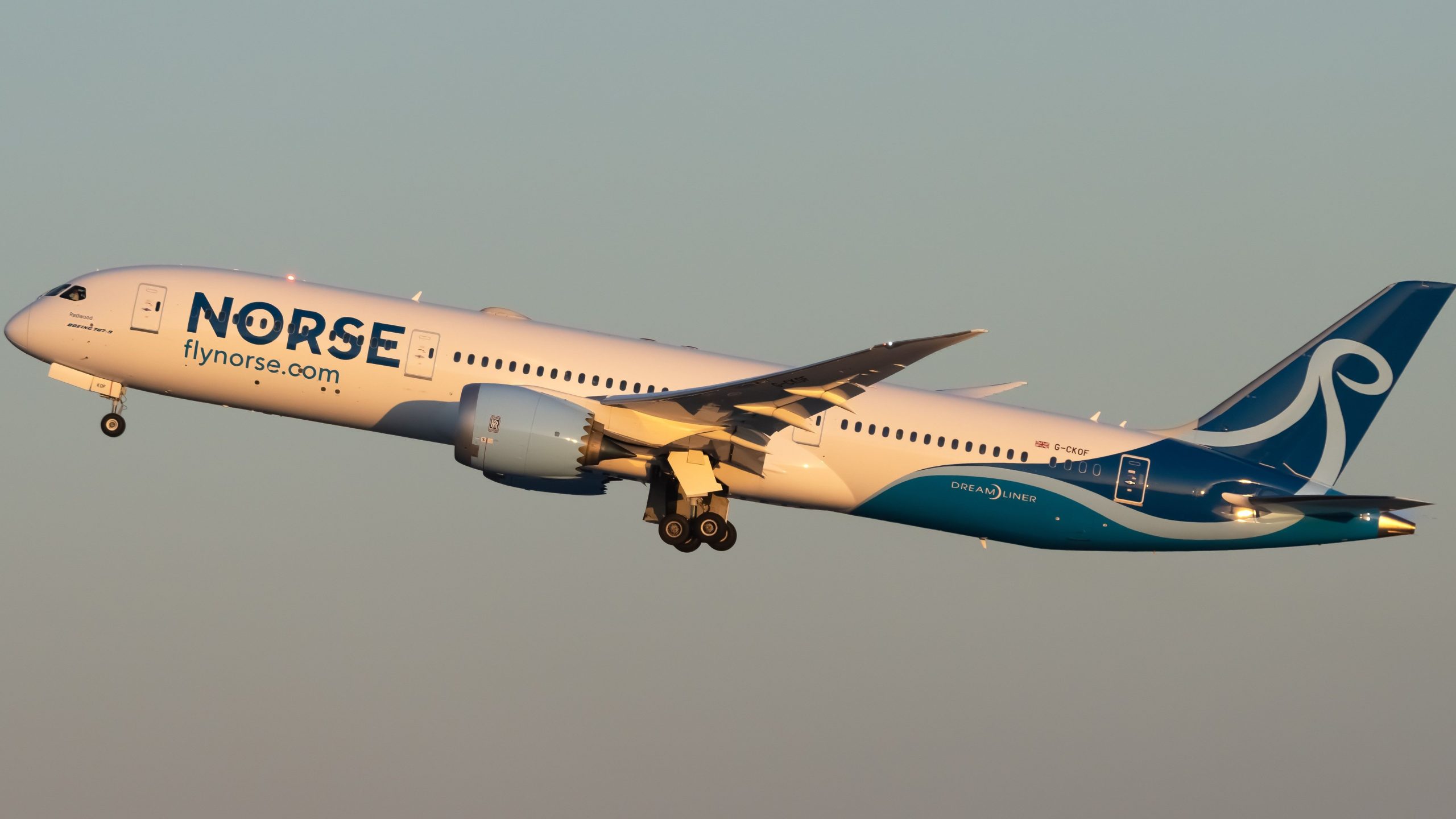 Wow: Norse Atlantic Airways vend des vols transatlantiques pour moins de 100 $