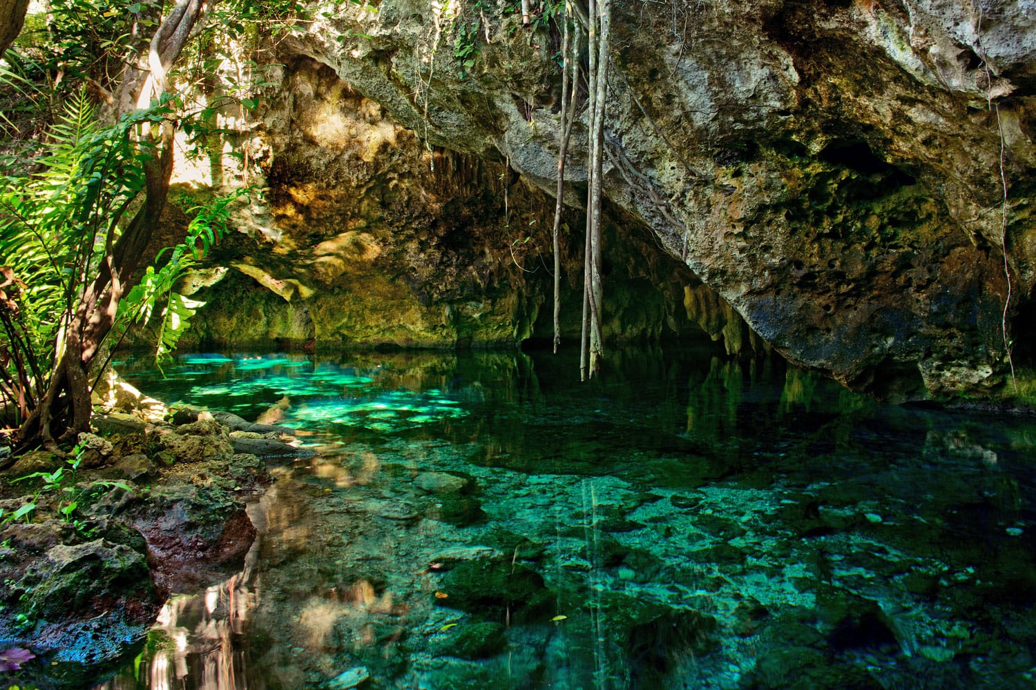 20 mejores cenotes en México que debes visitar