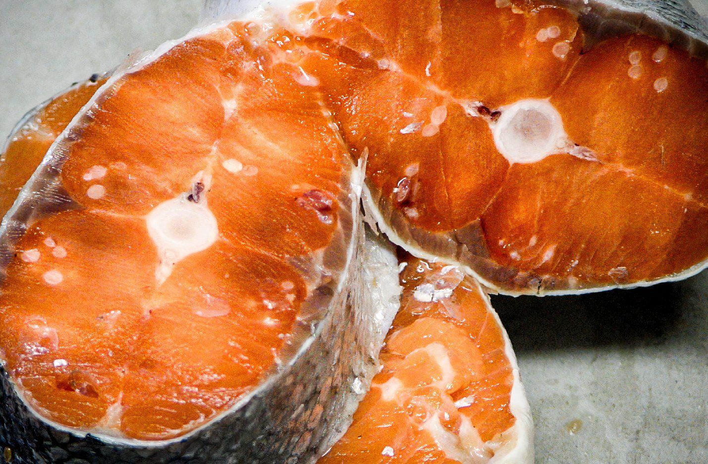 Les scientifiques ont trouvé le tout premier animal qui peut vivre sans oxygène