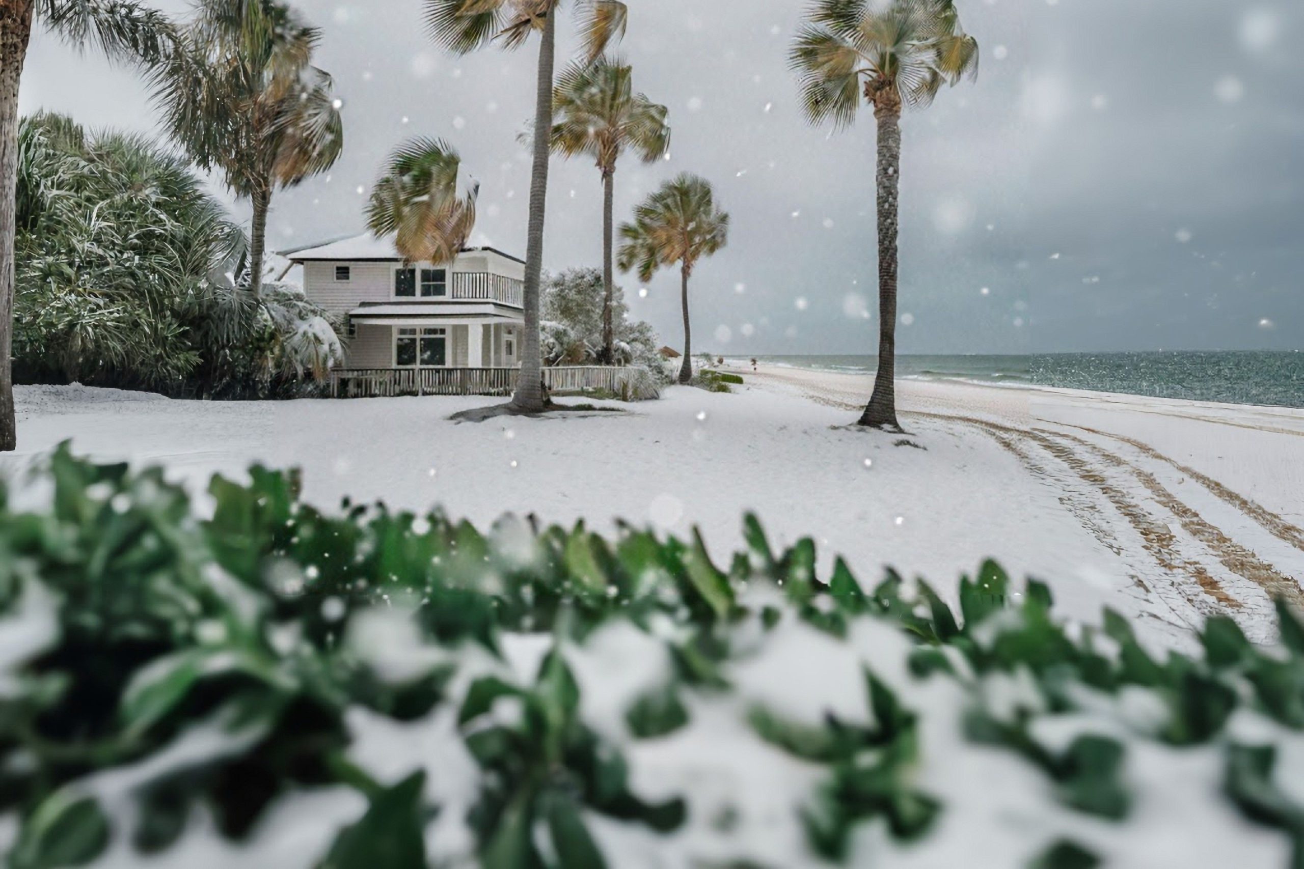 Sta nevicando in Florida! Winter Storm Enzo seppellisce lo stato di sole con nevicate storiche e da record