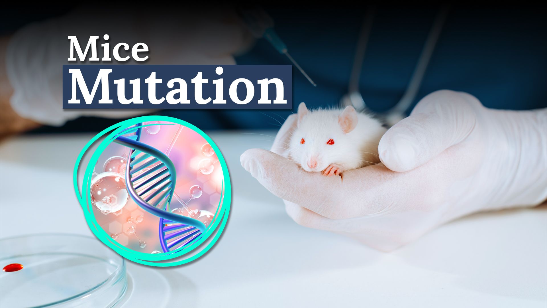 Il "gene linguistico" umano messo nei topi sta rivelando cose molto bizzarre