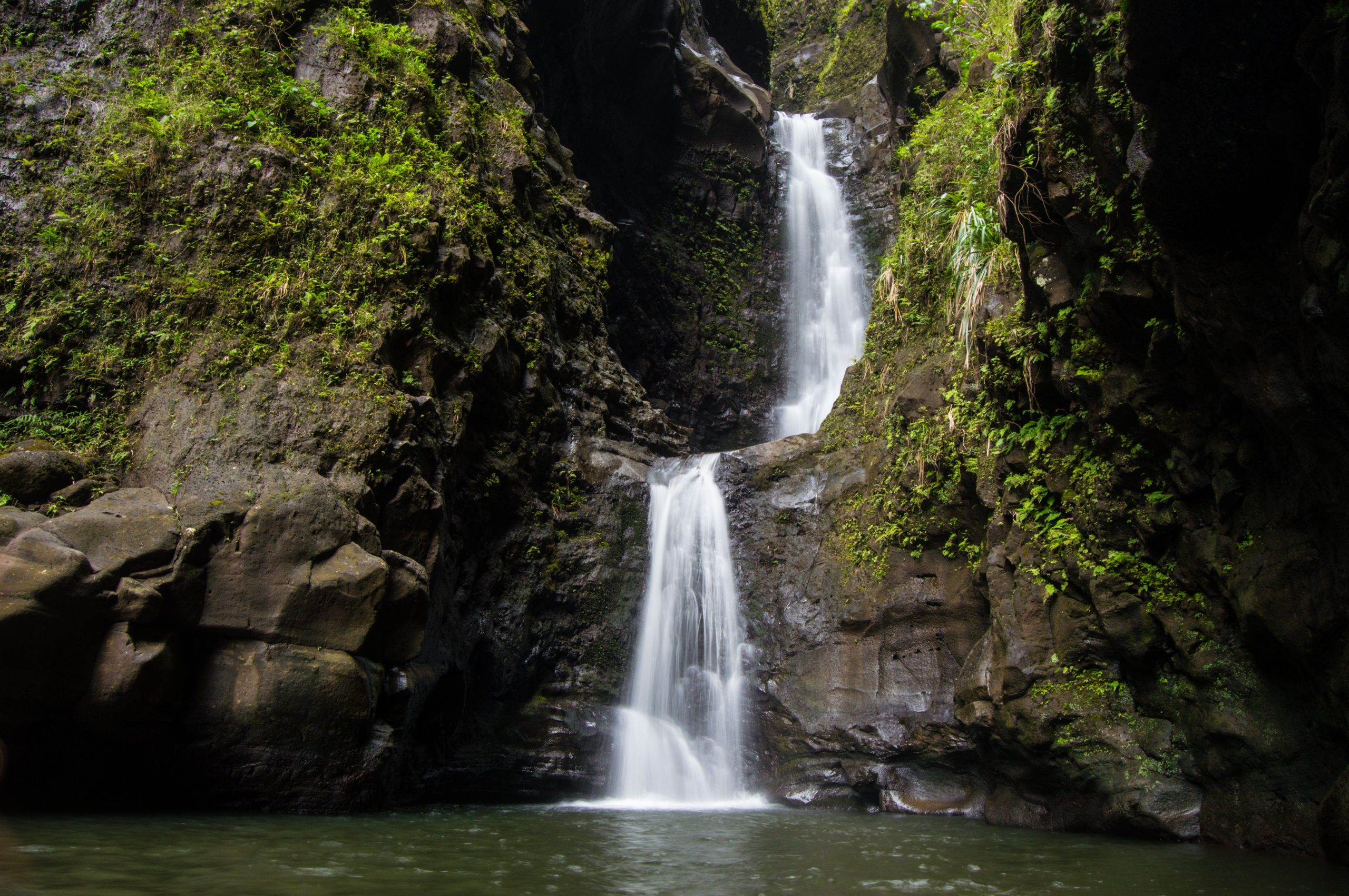 Le voyage de randonnée de rêve à Hawaï devient tragique après que le chef de pâtisserie superstar tue dans un accident de monstre