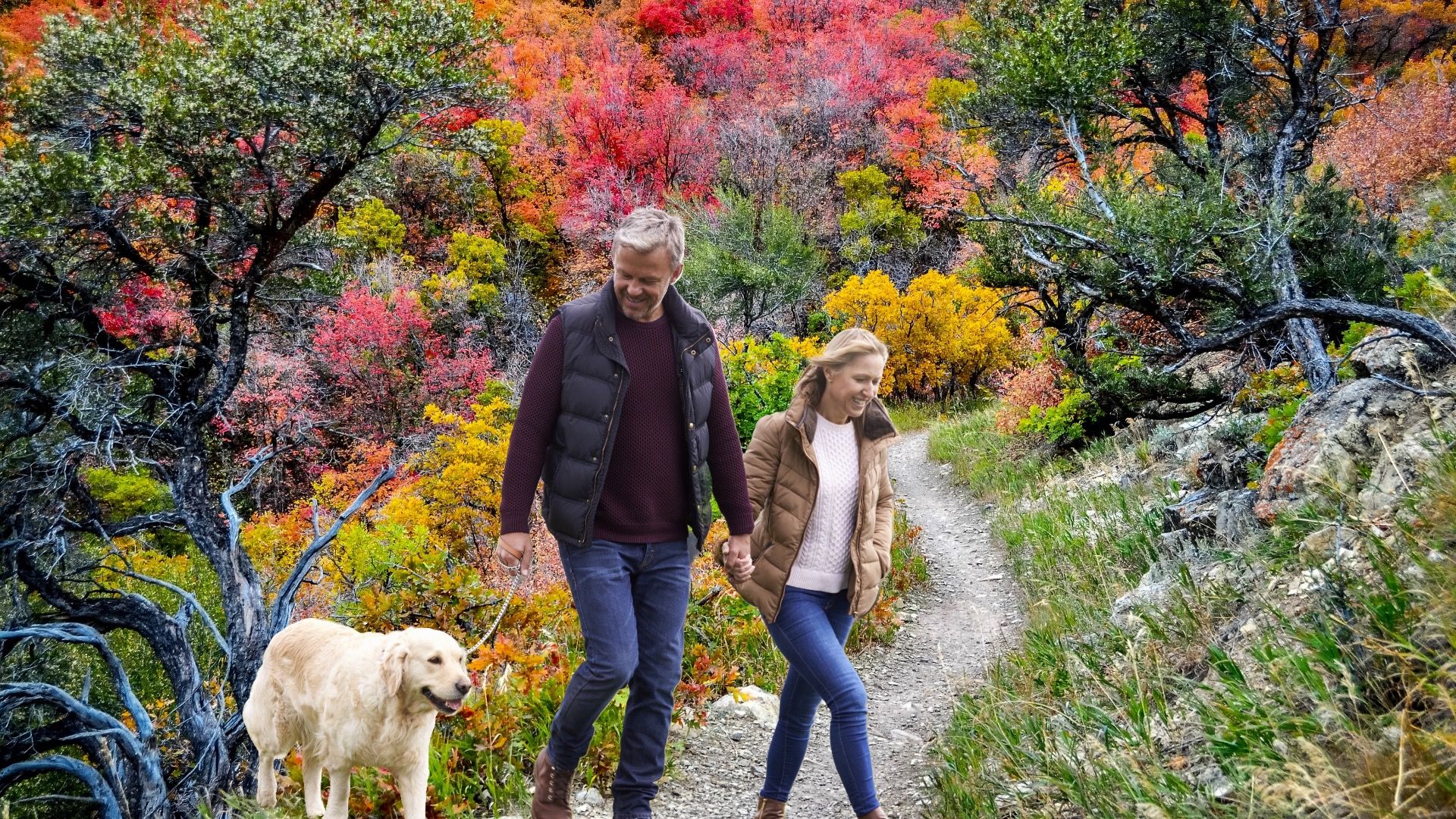 Sautez Salt Lake City et découvrez à la place Millcreek, Utah