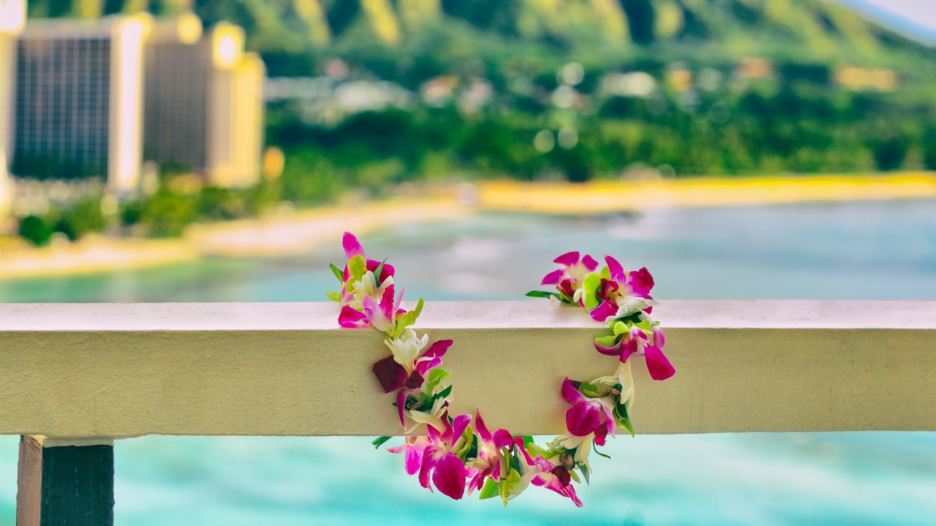 Tome este viaje por carretera lleno de flores y camine en Honolulu