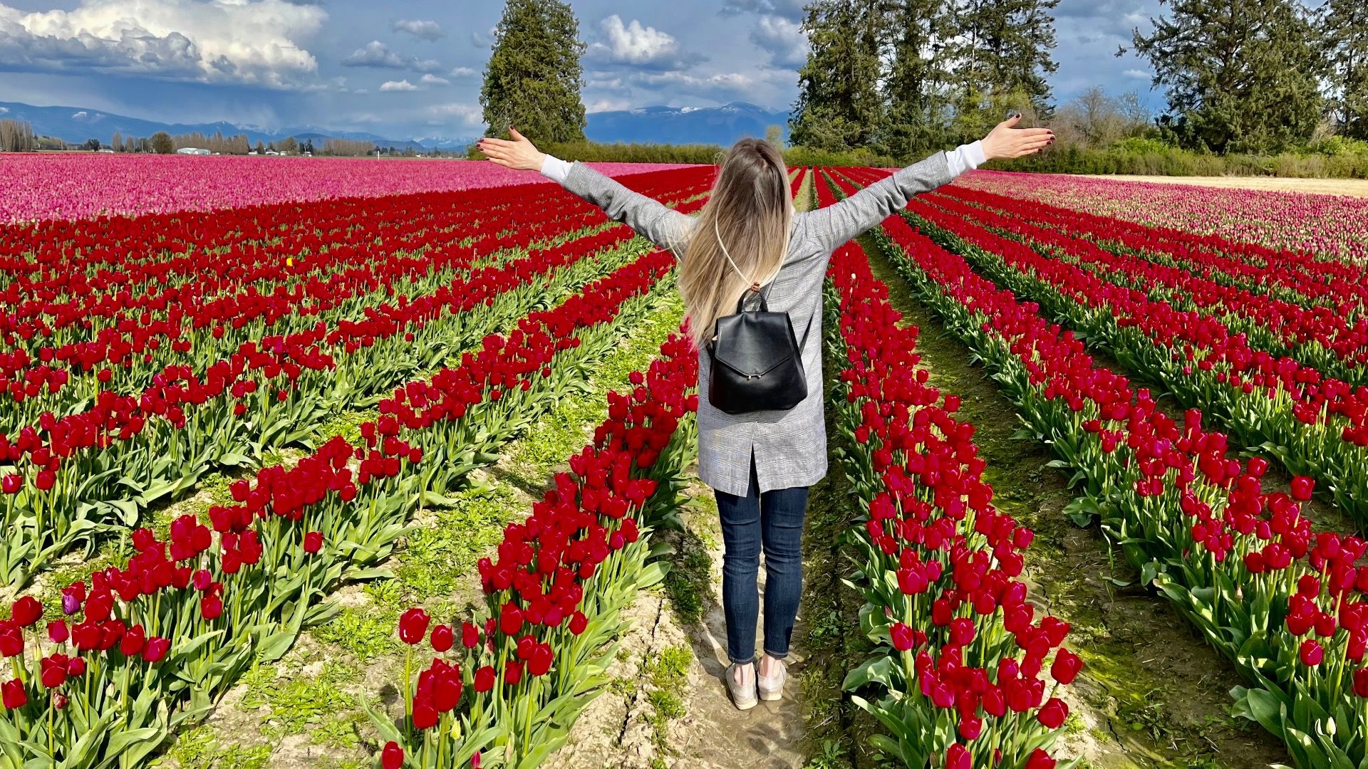 7 cidades mais fofas de Washington para visitar em 2024