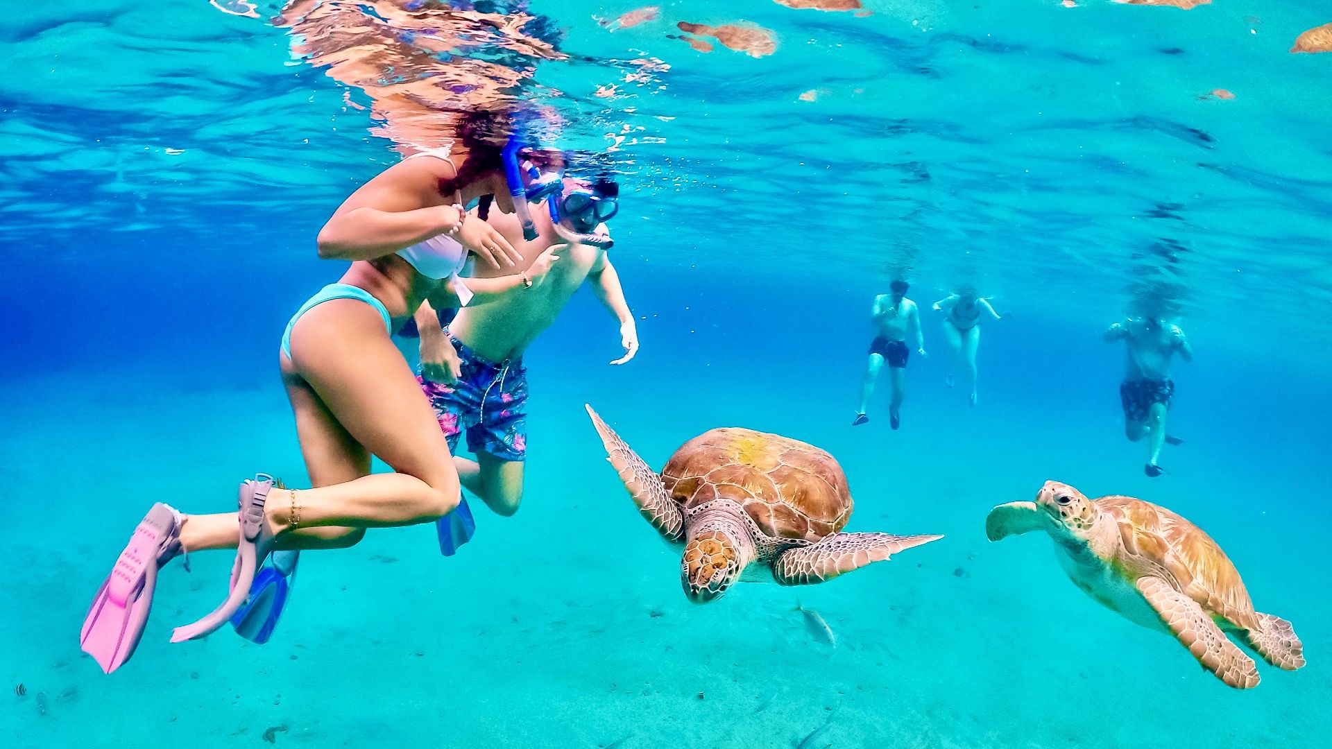 Cette île caribéenne cachée cachée offre une plongée sous-marine incroyable