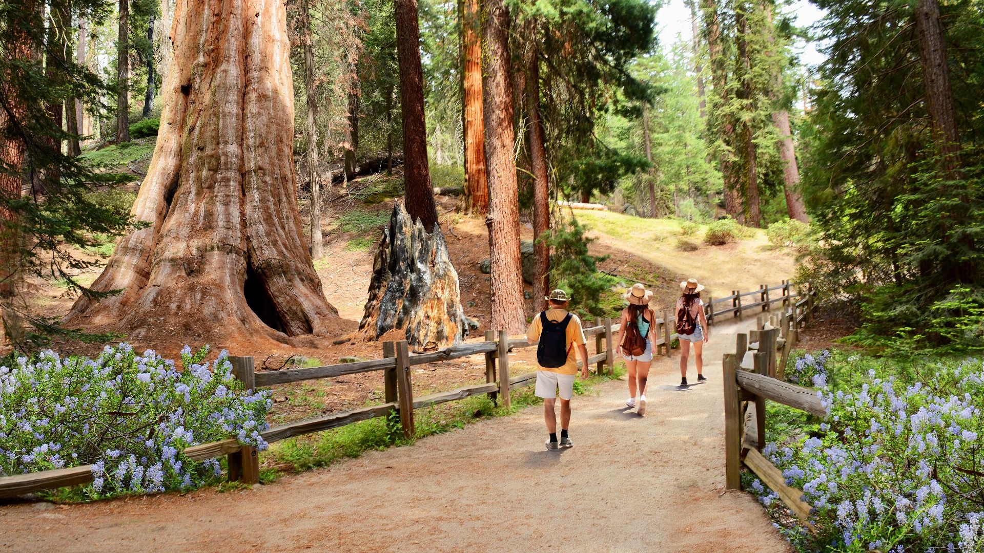 Parques nacionais da Califórnia classificados pelo número de visitantes