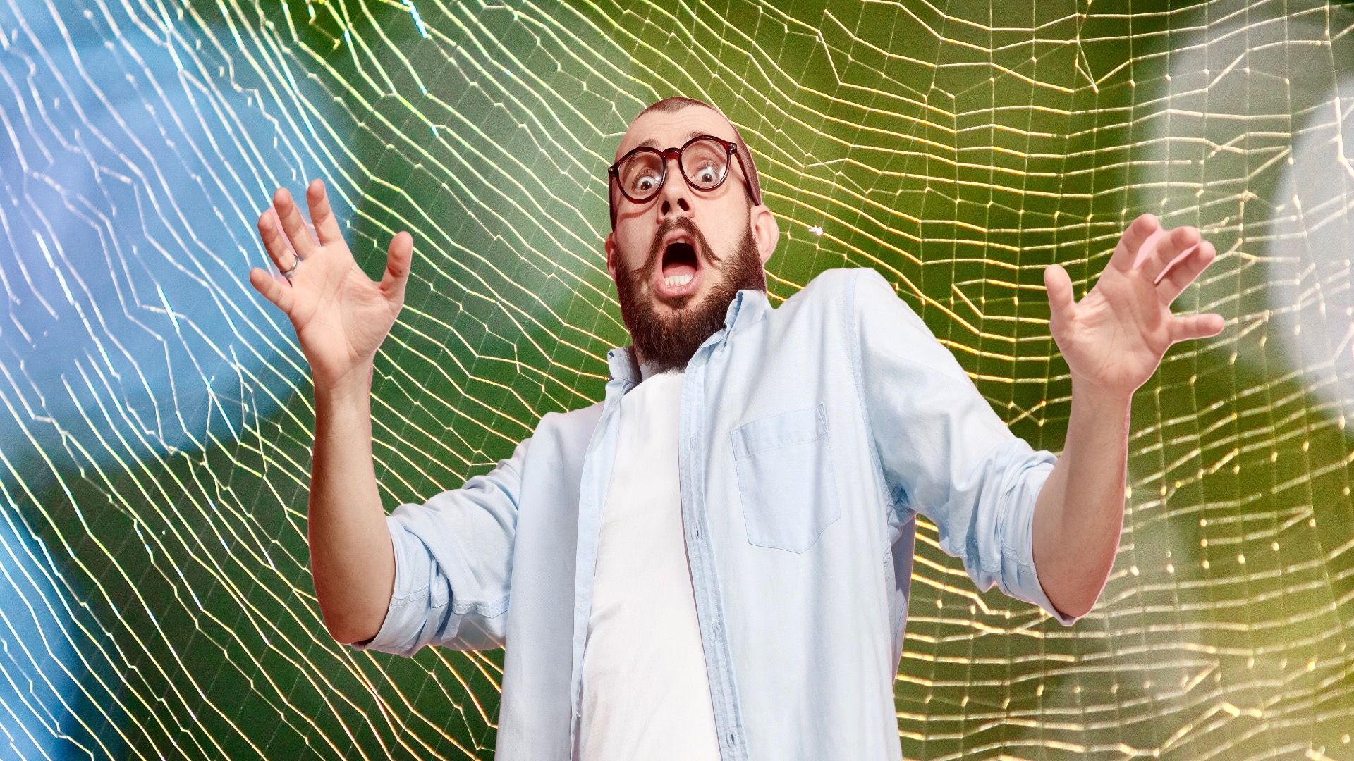 Cette araignée volante effrayante reprend la Nouvelle-Angleterre