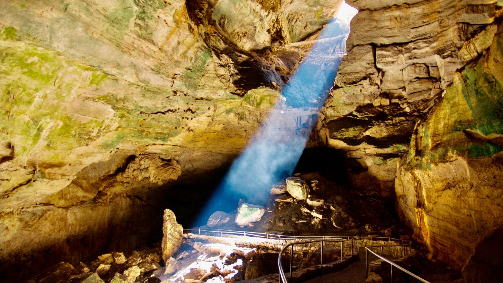 Pourquoi un sac de frites jeté a fait des ravages dans un parc national