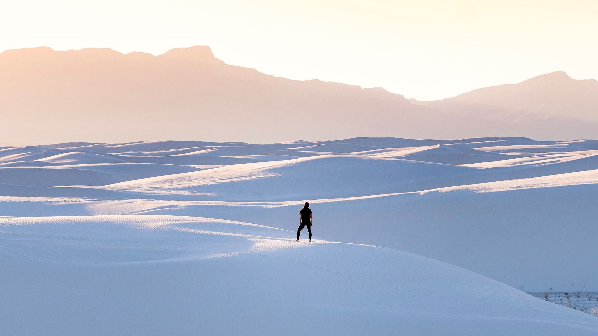 Estes são os melhores lugares para ver fósseis nos EUA